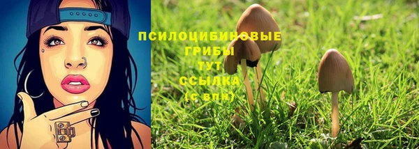 прущие грибы Алексин