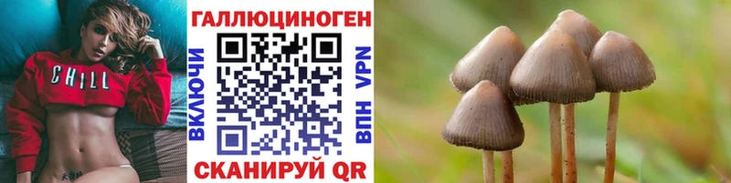 Галлюциногенные грибы Psilocybe  Собинка 